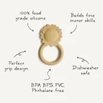 Lion-Teethers-infographic.webp