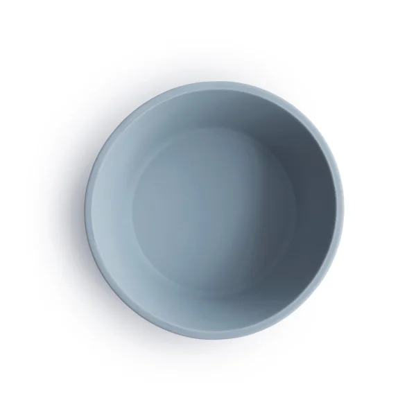 PowderBlue_SuctionBowl_Top_f40bc8a0-0895-4a0f-979b-30422d39f56f.webp